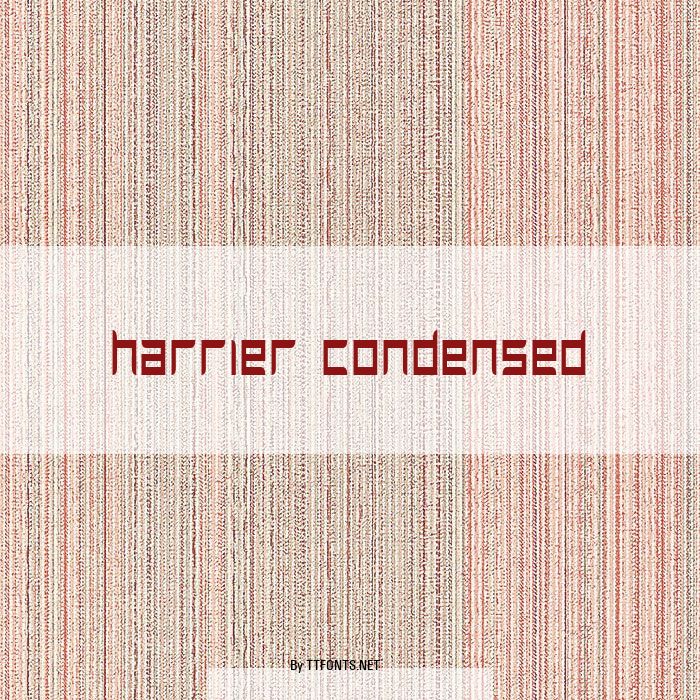 Harrier Condensed example